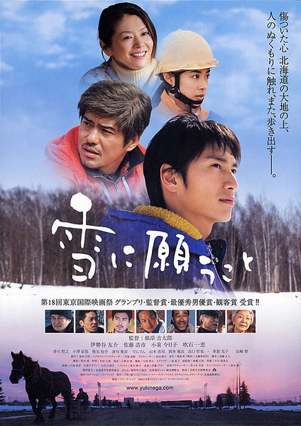 【向雪祈祷】