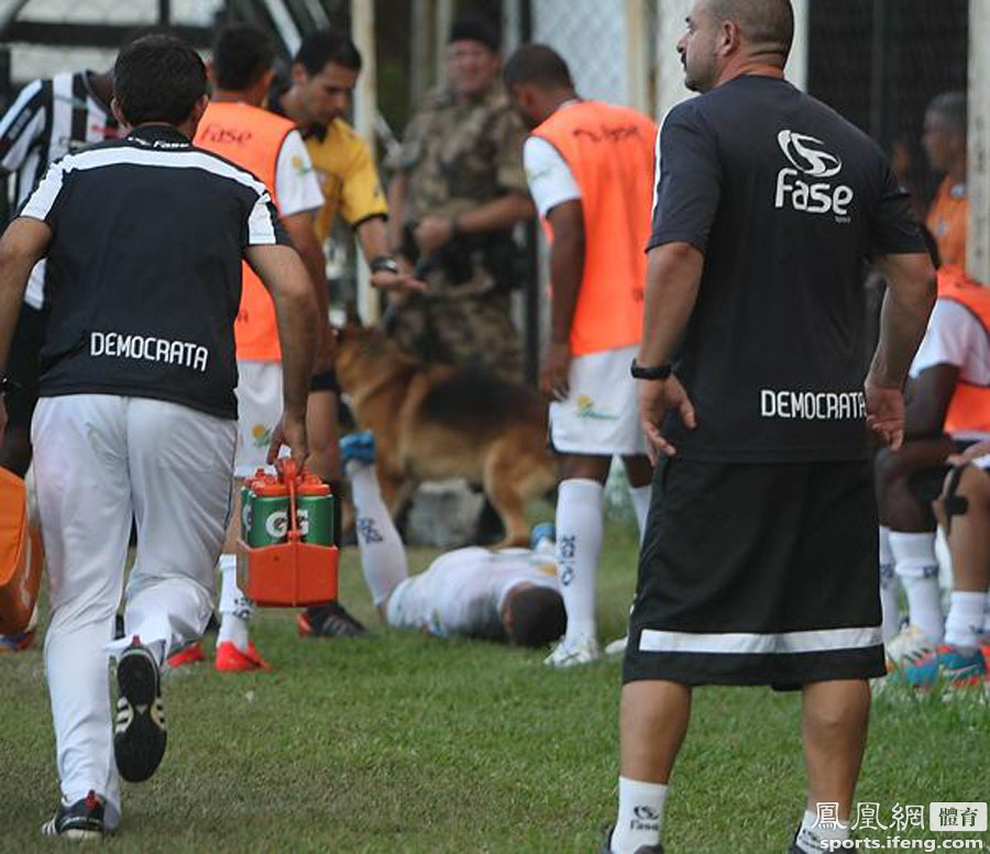 巴西球员比赛中遭警犬撕咬 重伤送医注射狂犬疫苗