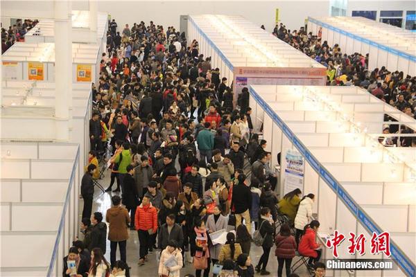 宁波高校毕业生供需洽谈会现场堪比春运|求职