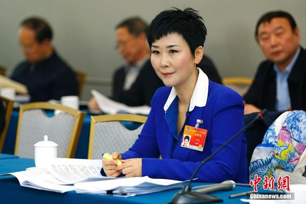 李小琳参加全国政协委员分组讨论|委员|政协