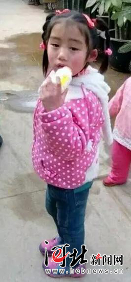 张颢译的父亲张伟说，孩子走失时，身穿的衣服与这张图片上的一样。