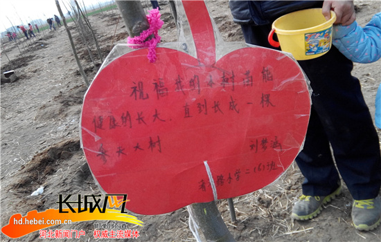 邯郸:第九届公益植树节活动火热举行