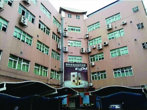 第一高价股大跌5%|股价|创业板