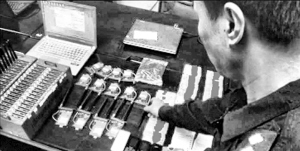 深陷T+0交易骗局 493人被骗50余万|股本|上市