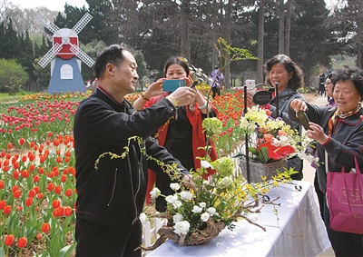 植物园插花艺术展图片_WWW.66152.COM