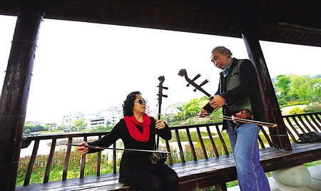 花甲民乐团 奏响南山之音|音乐|民族器乐