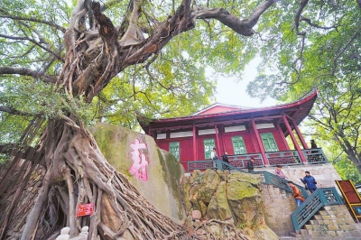 位于福州于山上的“寿榕”根抱石。