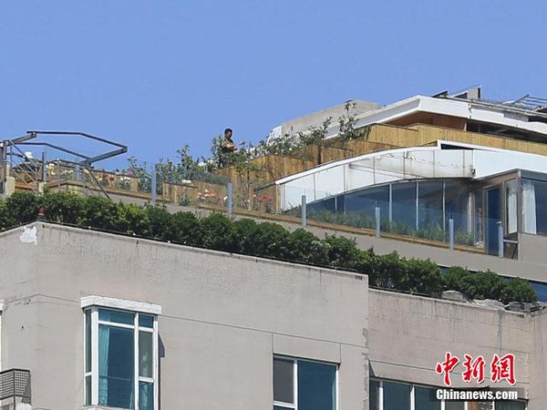 北京楼顶 最牛违建 被拆除后业主又种上树|物业