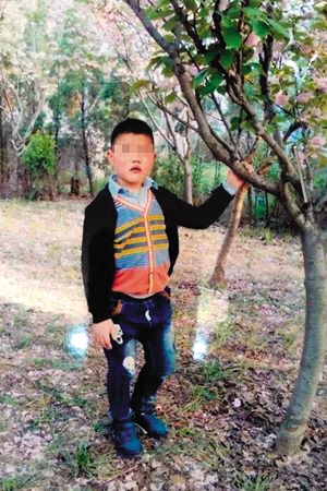 乐乐走失前的照片。图片来自网络