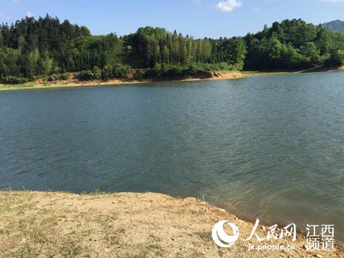 江西宜春3名学生水库游泳 不幸溺水身亡|打捞|