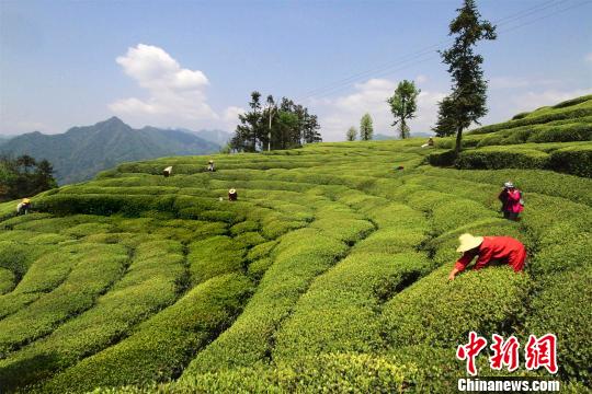 海市蜃楼形成的原因_农民收入形成的来源(3)