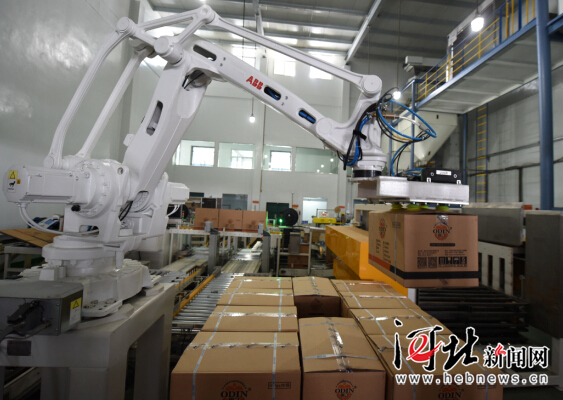 南和:全国最大宠物饲料产销基地提档升级(图)|