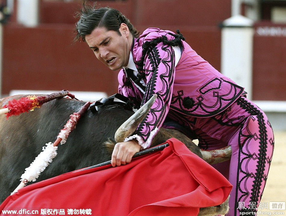 2015年西班牙戈雅斗牛大赛