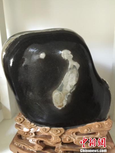 图为被苏金荣取名为“嫦娥奔月”的黄河奇石。　徐雪　摄