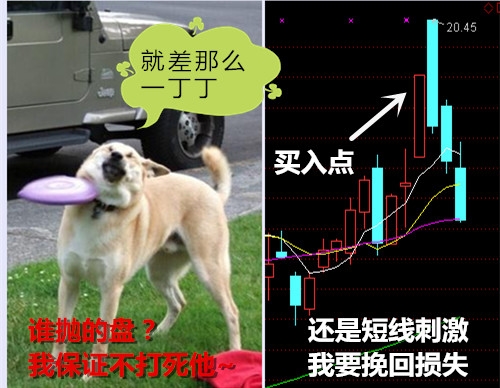 新股民之A股历险记|个股|股民