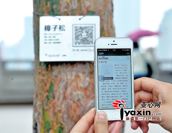 亚心网记者豆兴军摄