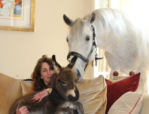 金斯伯格和她的宠物“厄洛斯”和“泽恩”关系都非常亲密。（网页截图）