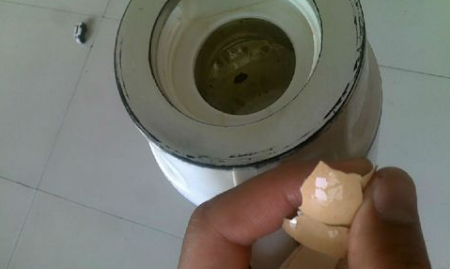 烧水壶水垢清除妙招鸡蛋壳 0ec43e74-6c07-4125-9602-4176a354eb0c_size53_w450_h269.jpg