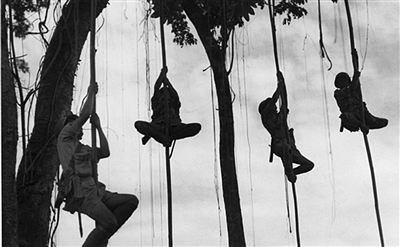 中国驻印军在蓝姆伽基地进行丛林训练。资料图片