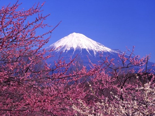 日本绘制富士山喷发疏散路线图 面向游客等人