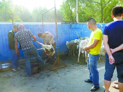 商贩长春街头杀羊扒皮割肉