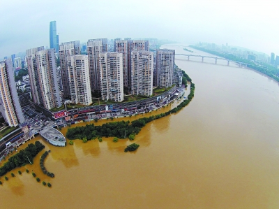 国家防总:西江发生今年第1号洪水|支流|干流