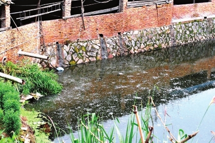 村里随处搭猪栏 粪水排入大樟溪|污水|排污