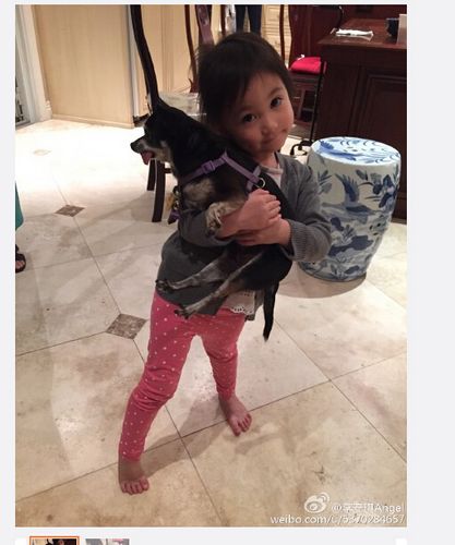 李小鹏爱女光脚站地板上 怀抱小狗表情呆萌(图