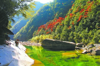 寿宁杨梅洲:寻山问水觅清凉|峡谷|景区