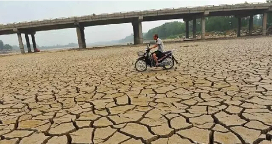 烟台186条河断流潍坊3水库干涸 大旱山东将迎