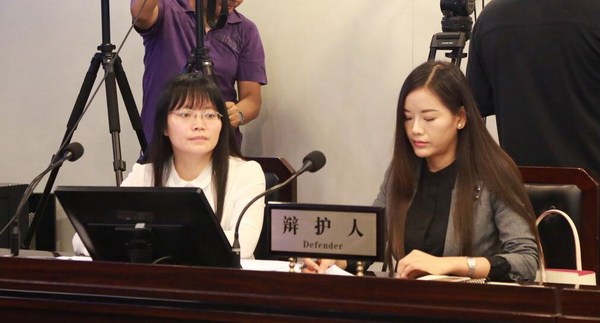 辩护人为张林做罪轻辩护