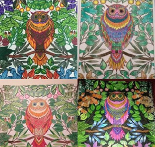 《秘密花园：一本探索奇境的手绘涂色书》网友晒图