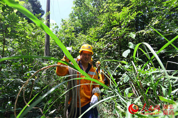 13时，任务结束，鲁朝忠和巡山工们踏上了用镰刀、斧头砍出来的羊肠小道返回