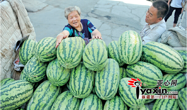 昨日，乌市青年路一小区，董永珍阿姨正在选购西瓜。亚心网记者张已摄