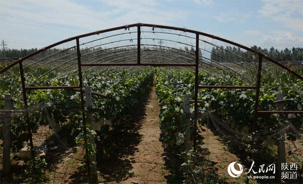 收入证明_近代农民的收入(2)