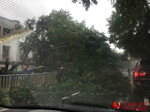 福州市区一片狼藉 林长生摄