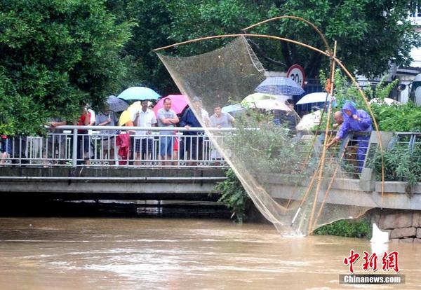 台风过后福州民众河岸忙抓鱼|洪水|暴雨
