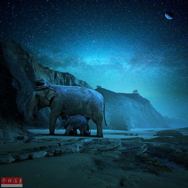 据外媒报道，一名热衷动物保护的艺术家创作了一组“全生态系统”合成图片，在他创造的这个世界里，没有斗争没有杀戮，人与动物和谐共存。图为他的作品“大象之夜”。