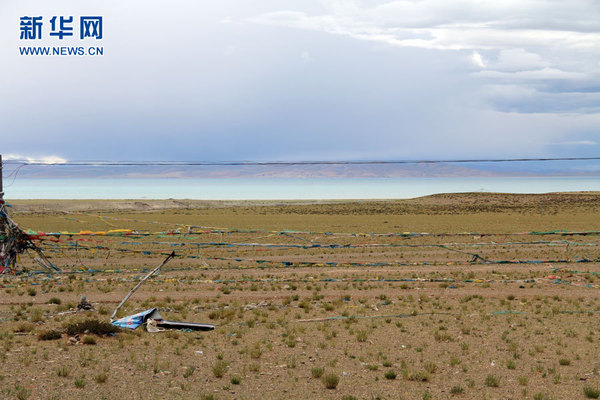 图为玛旁雍错湿地。新华网 冯文雅 摄