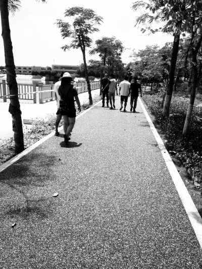 新材料助推厦门打造海绵城市|城市建设|建成