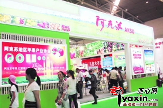 抢抓新丝路机遇 阿克苏谱写招商引资新篇章|