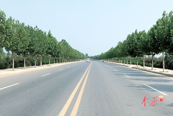 中牟韩寺镇全面推进环境综合整治|支部|领导干部