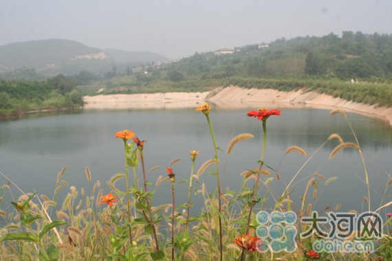 宝丰县大营镇:美丽乡村老龙窝 山美水美惹人醉