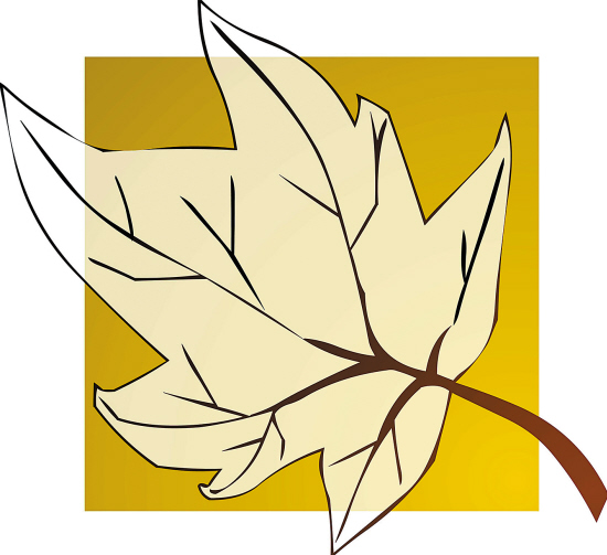 周日幸运大转盘|七星彩|双色球