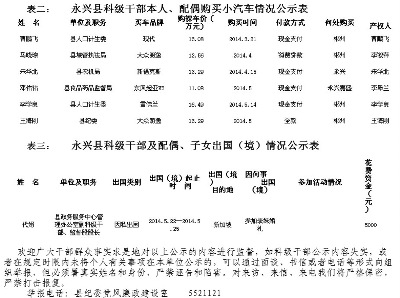 科级干部资产公示|干部|党建