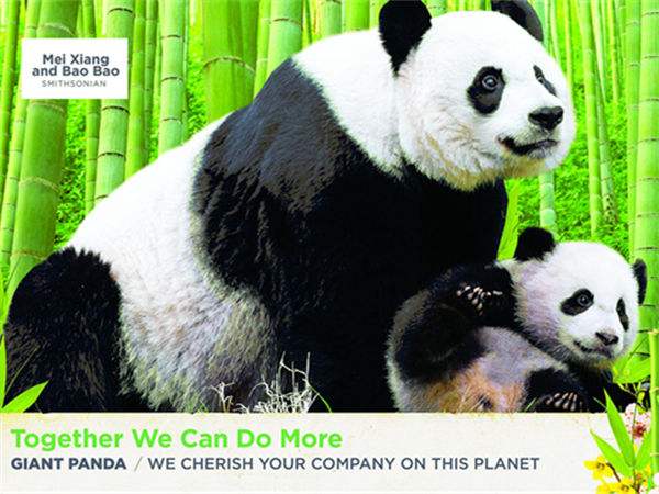 中国使馆在美国首发公益广告|中美|华盛顿