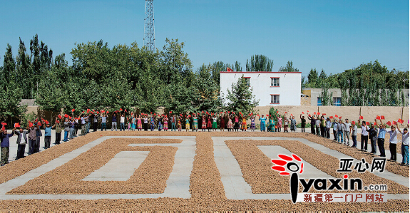 图为农民们举起小红旗在“60”造型前欢呼。图/通讯员金炜