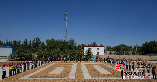 叶城县农民摆出核桃造型献礼自治区60华诞