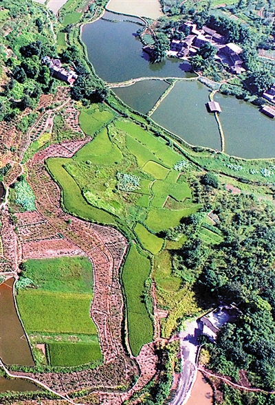 双福田园,良田沃土,阡陌纵横。