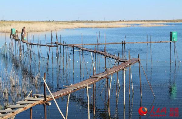 兵团第十师一八七团丰庆湖碧水蓝天，湖中泛起层层涟漪。